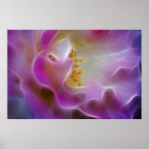 Masquerade pink rose and meaning poster