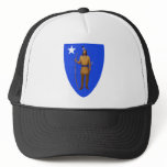 Massachusetts Flag Theme 01 hats