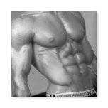 Massive Abs Magnet
