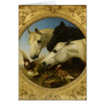 Masterpiece horse & dove painting John Herring cards