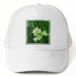 Masterwort Baseball Hat