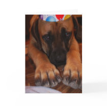Mastiff Birthday - English Mastiff Dog Birthday Greeting Card
