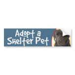 Mastiff/Chocolate Lab Bumper Sticker