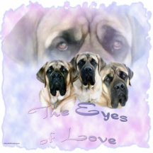Mastiff Eyes of Love Photo Sculpture