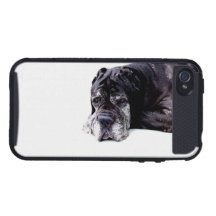 Mastiff iPhone 4/4S Case