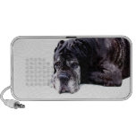 Mastiff Speaker
