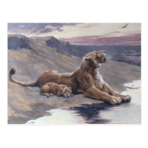 Maternal Care Postcard