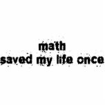 Math Saved My Life Once photo sculptures