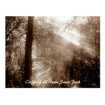Matin mystique CN4 - carte postale
