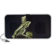 Mating Lizards Laptop Speakers