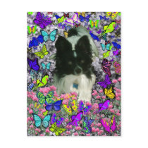 Matisse in Butterflies II - White & Black Papillon Post Card