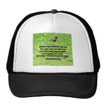 Matthew 6:26 mesh hats