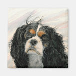 Mattie the King Charles Cavalier Fridge Magnets