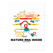 Mature RNA Inside Postcards
