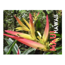 Maui Hawaii flower postcard