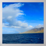 maui Ma alaea harbour posters