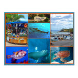 Maui Ocean Centre Postcards