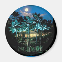 Maui Perfect Magnets
