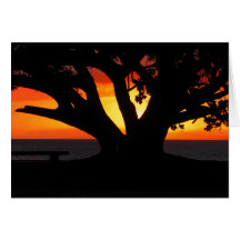 Maui sunset cards
