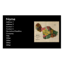 Maui - Vintage Antiquarian Hawaii Survey Map, 1885 Business Card Template