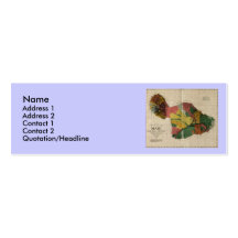 Maui - Vintage Antiquarian Hawaii Survey Map, 1885 Business Card Templates