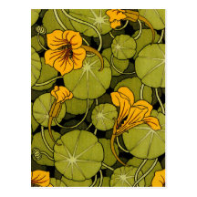 Maurice Pillard ( dit Verneuil ) Floral Art Nouvea Postcards