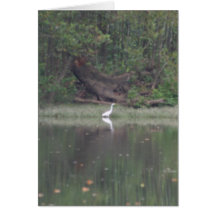 maury river cards