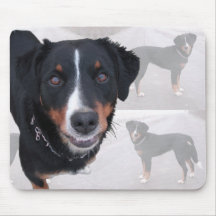 Mauspad "Appenzeller Sennenhund"