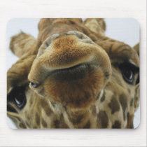 Mauspad Giraffe Kuss