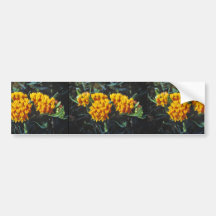 Mauvaise herbe de papillon autocollant pour voiture