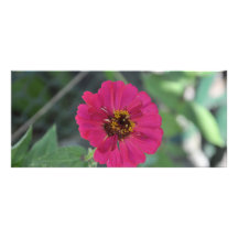 Mauve flower rack card design
