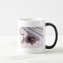 Maximum Security KennelsProtecting Your Home,On... Coffee Mug