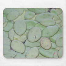 May 17 2007 350 mouse pad