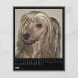 may 2012 calendar custom flyer