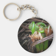 May Fiddleheads Keychains