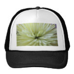 May Flowers #3 Hats