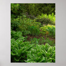 May Gardens walk 1 Print