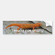 May photos 003, I brake for newts! Bumper Sticker
