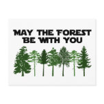May The Forest Be WIth You