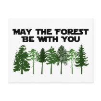 May The Forest Be WIth You