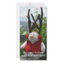 May your Christmas dance with light... Photo Card Template
