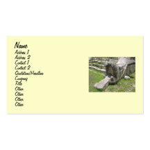 Mayan Snake Business Card