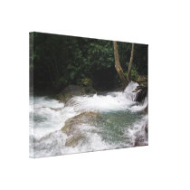 Mayfield Falls, Jamaica Canvas Print canvas prints