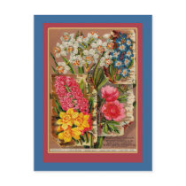 Mayflower Seed Packet Vintage Illustration Post Card