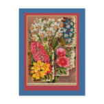 Mayflower Seed Packet Vintage Illustration postcards