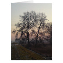 Mazovian Landscapes 1 Greeting Card