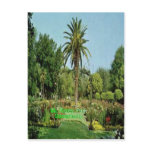 Mc Kinley park Sacramento post card