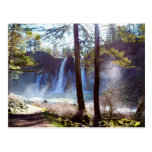 McArthur-Burney Falls Memorial State Park Postcards