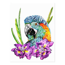 McCaw Postcard
