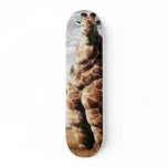 mcdonalds hits africa skateboards
